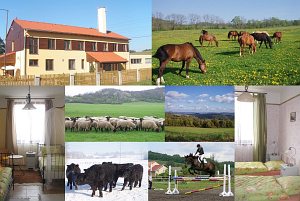 Ekofarma Natural Agro [Nagyítás - új ablak]