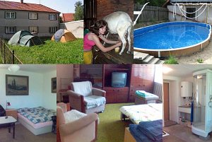 Ekologická farma Hvozd - chov ovcí a koz [Nagyítás - új ablak]