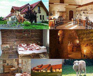 Tokajský dom Ostrožovič [Nagyítás - új ablak]
