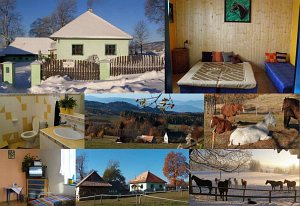 Tanya Haferník [Nagyítás - új ablak]