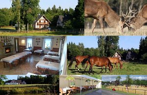 Tanya Hory [Nagyítás - új ablak]