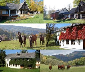 Ranch M [Nagyítás - új ablak]