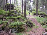 Vrcholová partie hory Kamenec [Nagyítás - új ablak]
